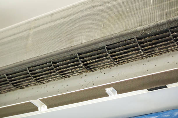 Best Affordable Air Duct Cleaning  in Jackson, CA